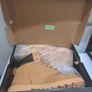 Grafters Apprentice Safety Boots UK 12 Image 7