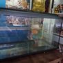 Fish Tank and Stand Image 4