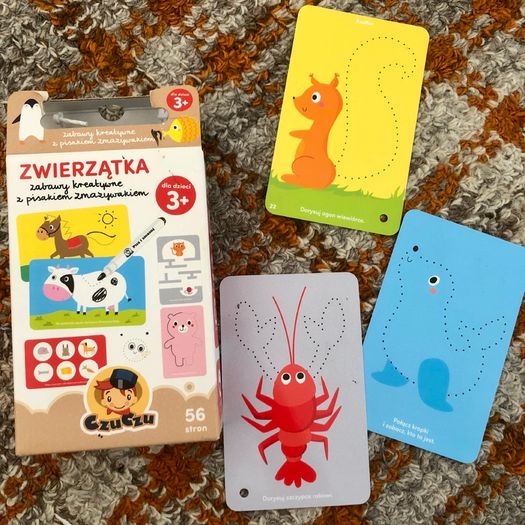 Wipe clean cards polish language