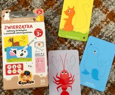Wipe clean cards polish language