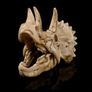 Skull Ornament Triceratops Image 2