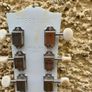 Gibson Les Paul Special Tribute (2019) Image 8