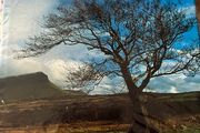 Irelands Wild Countryside