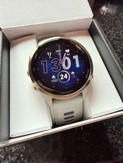 Garmin Forerunner 970 (French grey)