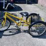 adult tricycle Image 2