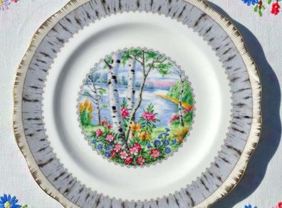 Royal Albert " Silver Birch" Side Tea Plates x 5