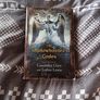 Mortal Instruments collection + The Shadow Hunters Codex by Cassandra Clare Image 5