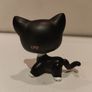 Littlest Pet Shop Shorthair Blythe Photoshoot Cat #2249 Rare Image 3