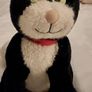 Jess Postman Pat's black and white cat (454)  1 Image 3
