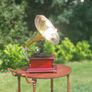 Gramaphone Image 2