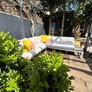Sun loungers Image 5