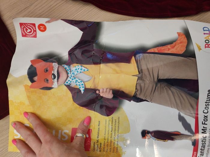 Halloween costumes  Mr Fox