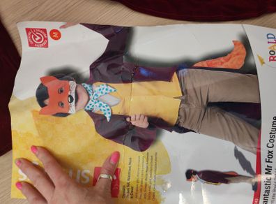Halloween costumes  Mr Fox