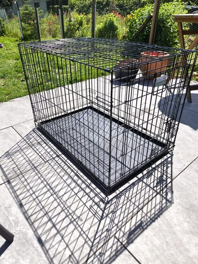 pet