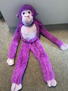 Purple Monkey