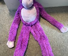 Purple Monkey