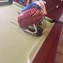 Hurling helmets Image 2