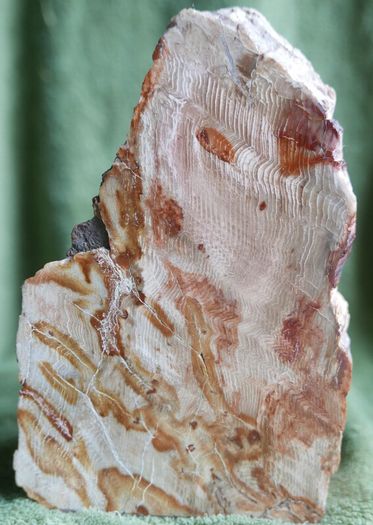 Dolomite Slab Rolling Hills Dolomite