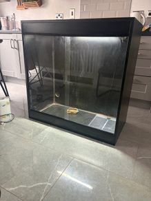 Large Terrarium