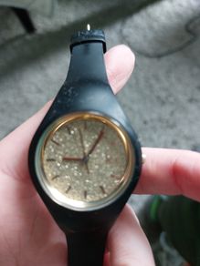 Ice watch
