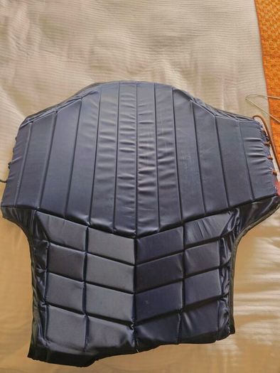 Racesafe Back Protector