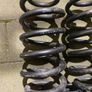 Eibach ProKit Springs for Passat B5.5 (two front, one rear) Image 3