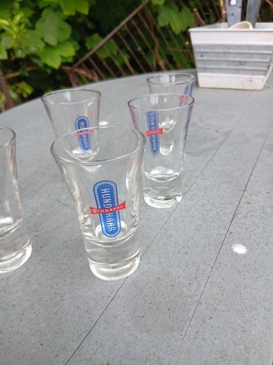 5 schnaps glasses