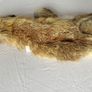 Vintage Red Fox Pelt Full Fur - 100cm - Taxidermy Throw - Excellent Condition Image 3