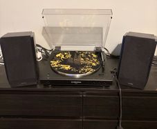 Turntable/Speaker Bundle