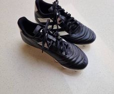 Rugby/GAA Football