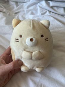 Cat teddy (similar to a Squishmallow)