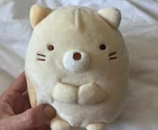 Cat teddy (similar to a Squishmallow)