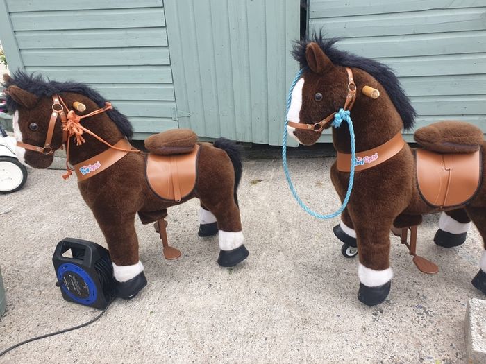 Pony Cycle Ride On Pony