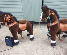 Pony Cycle Ride On Pony