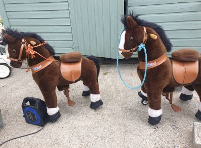 Pony Cycle Ride On Pony
