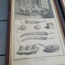 18th century set of four framed "Art D'Ecrire" copper plate calligraphy prints Image 5