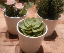 Artificial Plants in Matching Ceramic Plant Pots x3