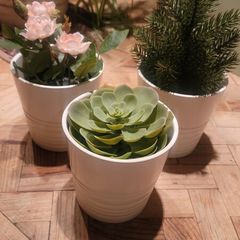 Artificial Plants in Matching Ceramic Plant Pots x3