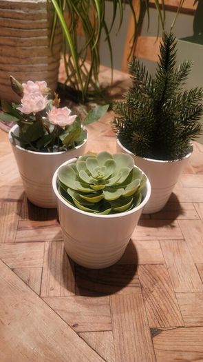 Artificial Plants in Matching Ceramic Plant Pots x3