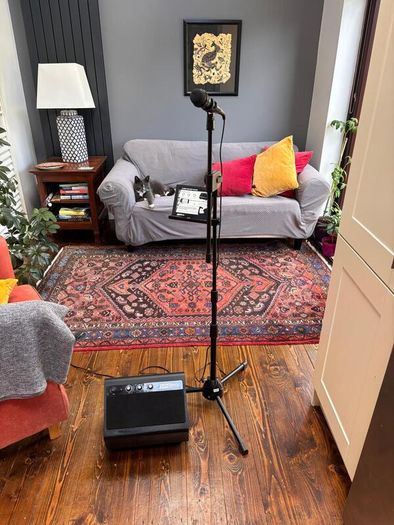 Singtrix Karaoke Party System - Excellent Condition