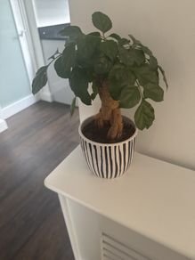 Stylish, contemporary navy and white ceramic plant pot
