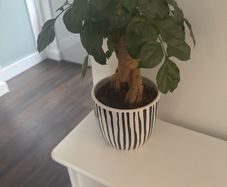 Stylish, contemporary navy and white ceramic plant pot