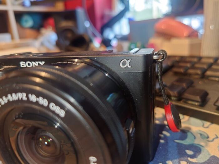 Sony ZV-E10 With selp1650 and wind buff