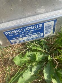extension ladder