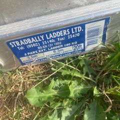 extension ladder