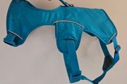Dog Ruffwear harness