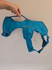 Dog Ruffwear harness