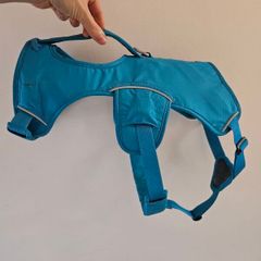 Dog Ruffwear harness