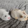 Mice and Hamsters Image 3