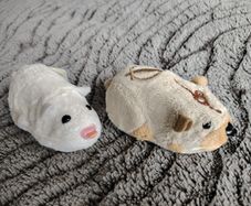 Hamsters